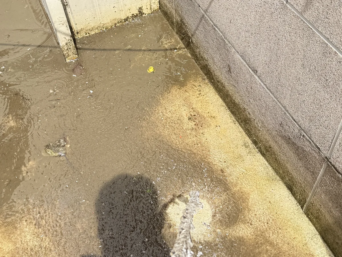 거제시 거제면 침수 현장 복도·대기 동선 야간 위생청소 사례 - 행진크린
